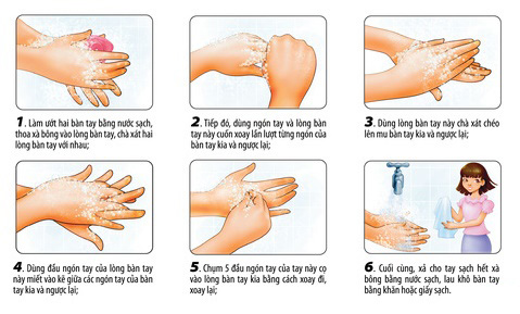 6 bước rửa tay đúng cách bằng xà phòng